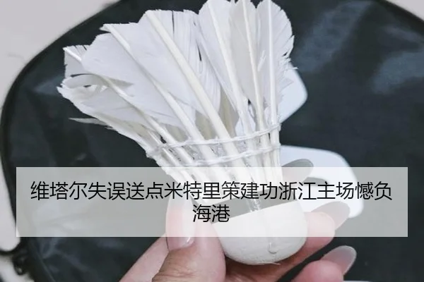 维塔尔失误送点米特里策建功浙江主场憾负海港